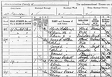 Census Page Detail
