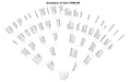 Fan Pedigree Chart