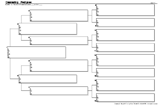 Blank Pedigree Chart