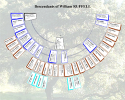 Descendant Fan Chart